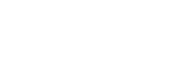 VICENTIN LOGO blanco